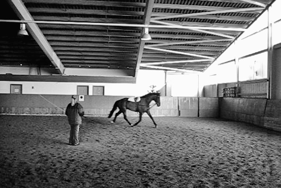 Rückenkontrolle beim Pferd Dr. Kuno von Plocki